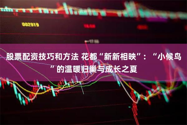 股票配资技巧和方法 花都“新新相映”：“小候鸟”的温暖归巢与成长之夏