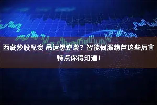 西藏炒股配资 吊运想逆袭？智能伺服葫芦这些厉害特点你得知道！